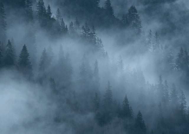 Berge im Morgennebel