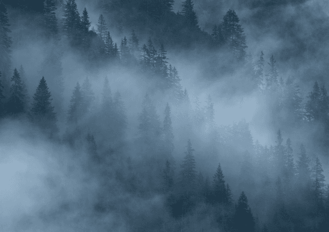 Berge im Morgennebel